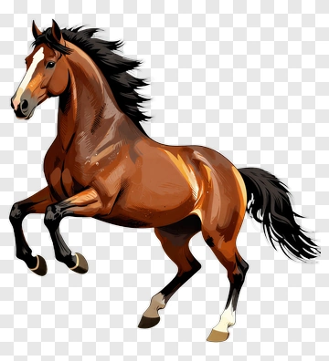 Cartoon Horse Running PNG