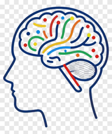 Colorful Brain Illustration PNG