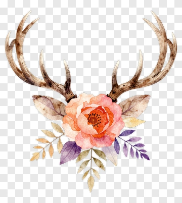 Watercolor Antlers With Floral Arrangement PNG