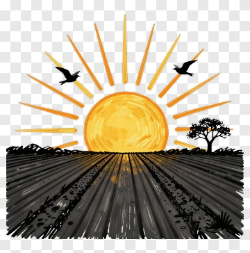 Sunrise Over A Farm Field PNG