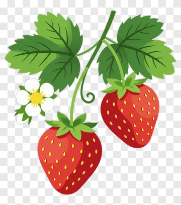 Strawberries With Green Leaves And White Flower PNG