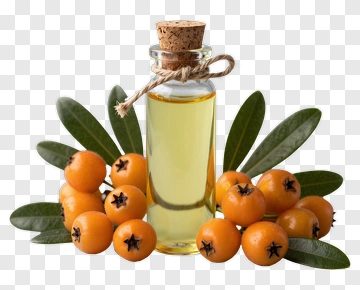 Bottle Of Oil Surrounded By Medlar Fruits And Leaves PNG