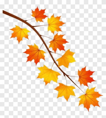 Autumn Maple Leaves On A Branch PNG