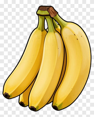Illustration Of A Bunch Of Bananas PNG