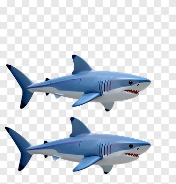 Cartoon Shark PNG