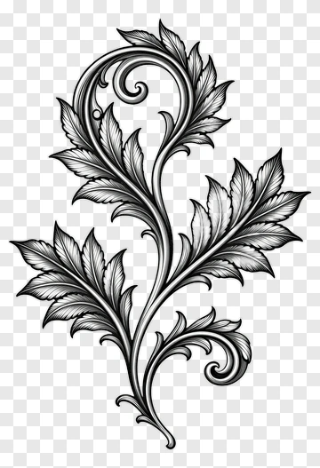 Decorative Leafy Flourish Design PNG