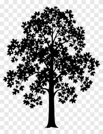 Silhouette Tree PNG