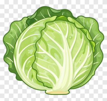 Cartoon Cabbage PNG