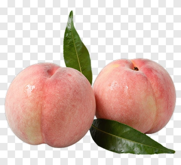 Fresh Peaches With Green Leaves PNG