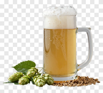 Glass Of Beer With Hops And Barley PNG