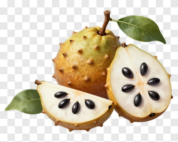 Soursop Fruit With Sliced Sections PNG