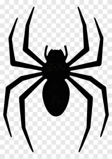 Black Spider Silhouette PNG