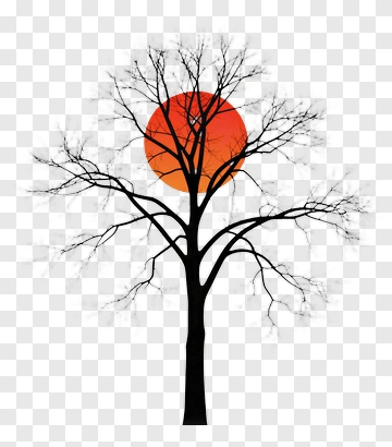 Silhouette Tree With Sunset PNG