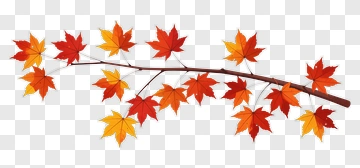 Colorful Maple Branch With Autumn Leaves PNG