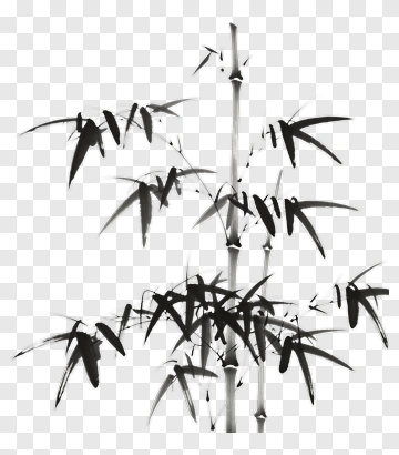 Black Bamboo Plant PNG