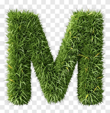 Grass Letter M PNG