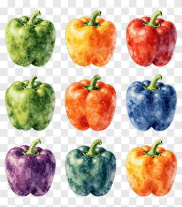 Colorful Bell Peppers Arrangement PNG