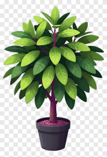 Colorful Potted Plant With Green Leaves PNG