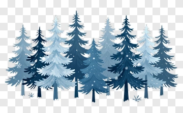 Snowy Evergreen Forest PNG