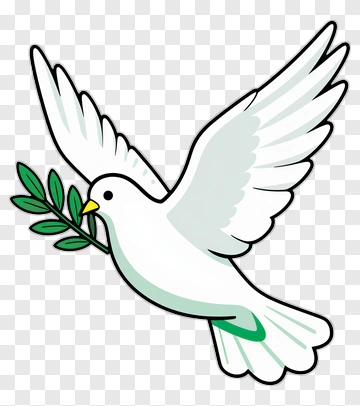 Cartoon Dove Holding An Olive Branch PNG