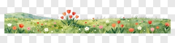 Colorful Flower Field PNG
