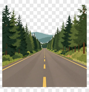 Forest Road Leading Into The Mountains PNG