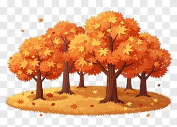 Colorful Autumn Trees In A Meadow PNG