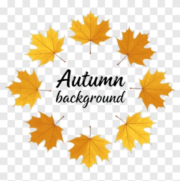 Autumn Background With Yellow Leaves PNG