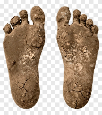 Footprints In Dry Earth PNG