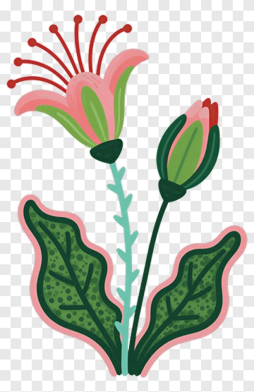Colorful Flower With Green Leaves PNG