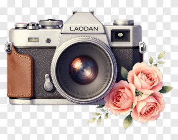 Vintage Camera With Pink Roses PNG
