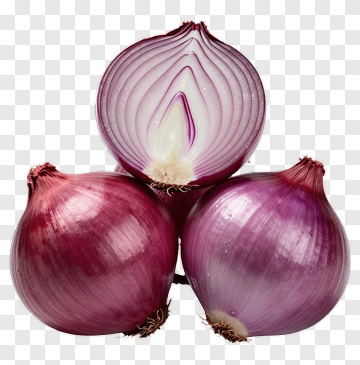 Red Onion Composition PNG