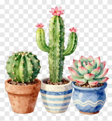 Watercolor Cactus And Succulent Plants In Pots PNG