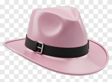 Pink Cowboy Hat PNG
