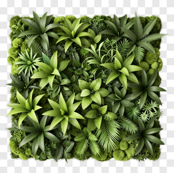 Green Plant Wall Arrangement PNG
