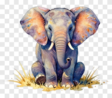 Colorful Elephant Sitting In Grass PNG
