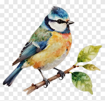 Watercolor Blue Tit Bird On A Branch PNG