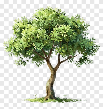 Colorful Tree PNG