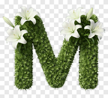 Floral Letter M Design PNG