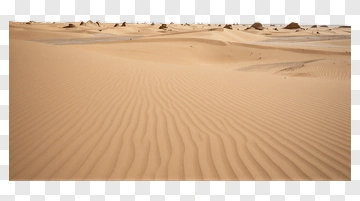 Desert Landscape With Sand Dunes PNG