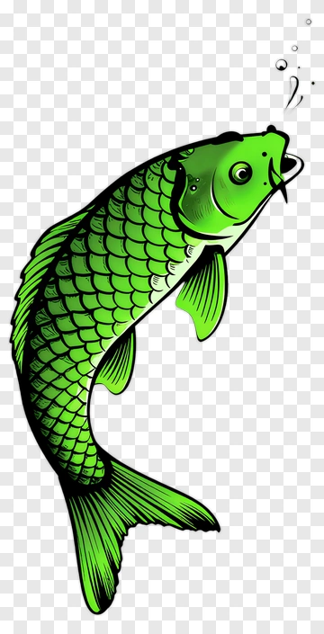 Cartoon Green Fish PNG