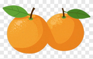 Colorful Oranges With Leaves PNG
