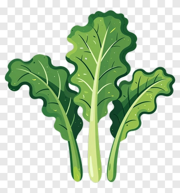 Green Leafy Vegetables PNG