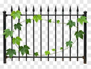 Iron Fence With Green Ivy Leaves PNG