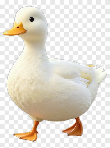 Cartoon Duck Standing PNG
