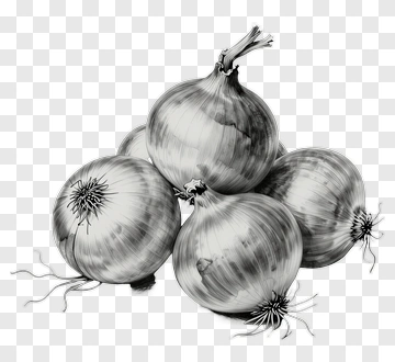 Black And White Onion Composition PNG