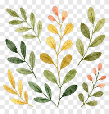 Colorful Botanical Leaves PNG
