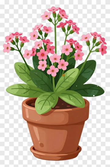 Colorful Potted Flower Plant PNG