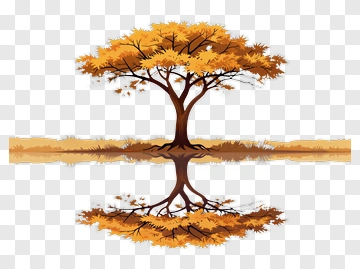 Colorful Autumn Tree With Reflection PNG