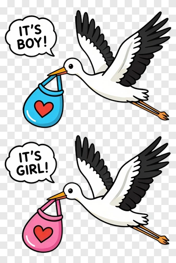 Stork Carrying Baby Announcement Bags PNG